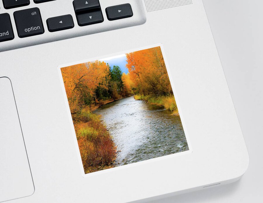 Utumn Sticker featuring the photograph Autumn Splendor by Athena Mckinzie