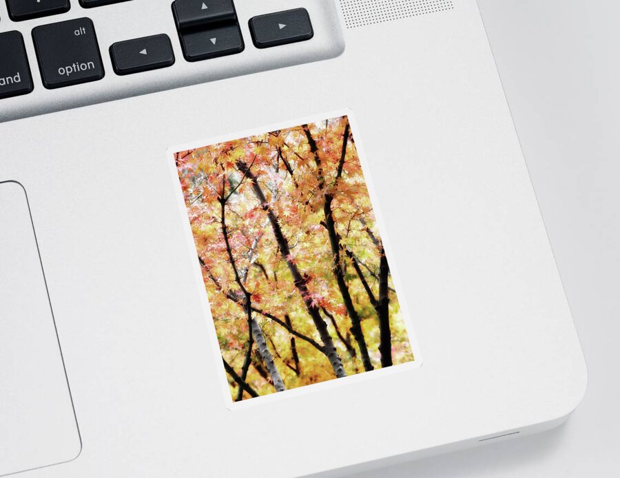Autumnal Sticker featuring the photograph Autumnal Impressions by Nicholas Blackwell