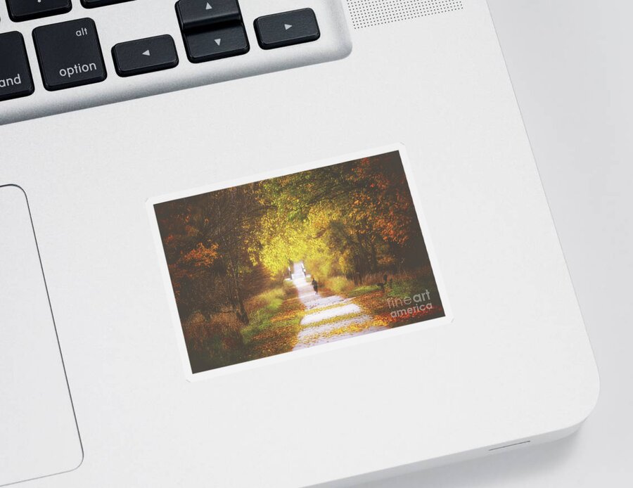 Trail Sticker featuring the photograph Autumn's Path by Elizabeth Winter
