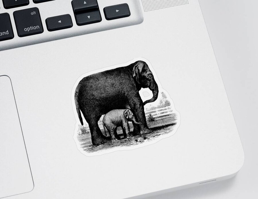 Elephant Sticker featuring the drawing Baby Elephant T-shirt by Edward Fielding