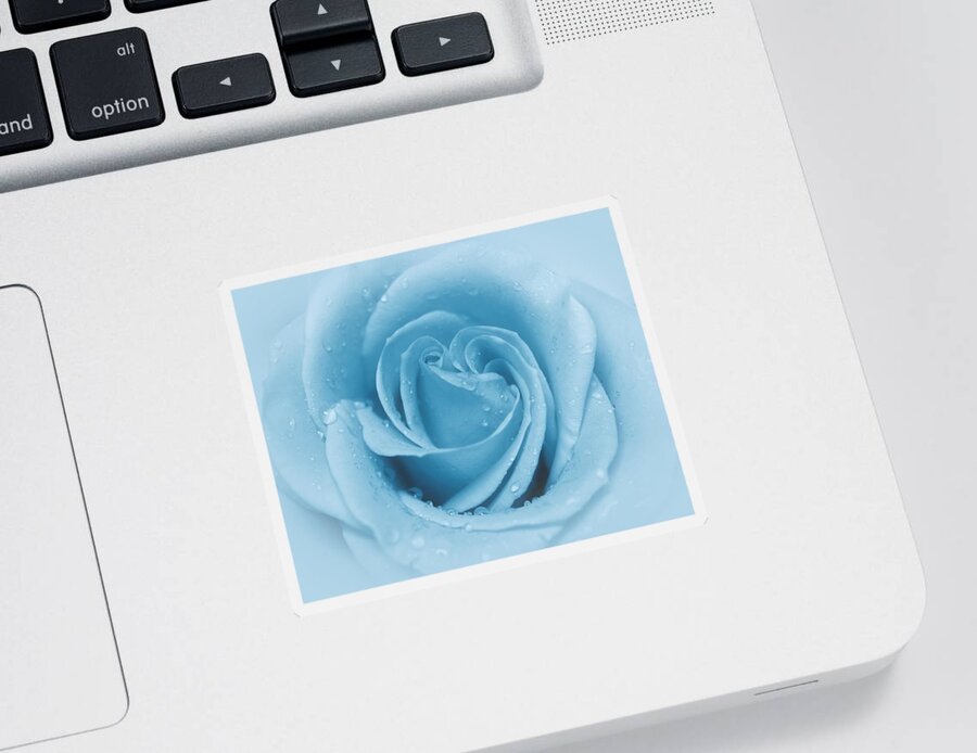 Rose Sticker featuring the photograph Baby Soft - Blue by Angie Tirado