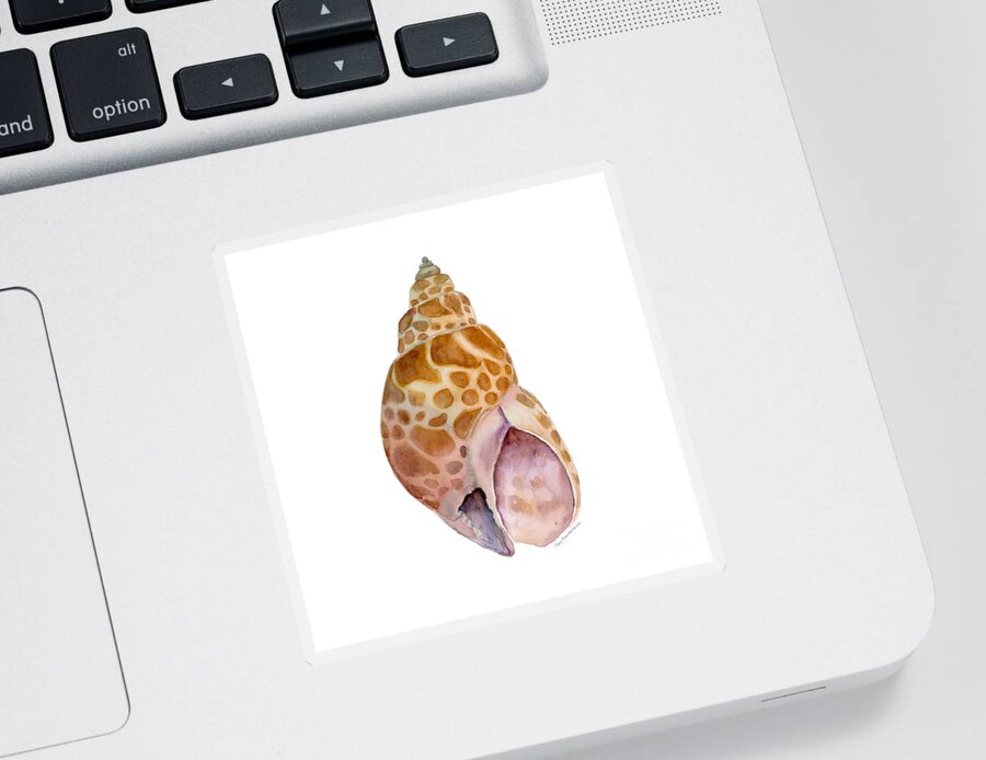 Shell Shells Watercolor Seashell Sea Babylon Japonica Pink Brown Tan White Background Sea Shell Painting Shell Painting Watercolor Sea Shell Watercolor Beach Shell Watercolor Shells Beach Shell Painting Beach Shell Face Mask Sticker featuring the painting Babylon Japonica Shell by Amy Kirkpatrick
