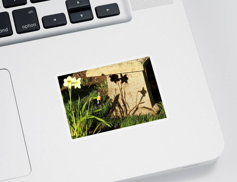 Shadows Sticker featuring the photograph Backyard Bench by Betty-Anne McDonald