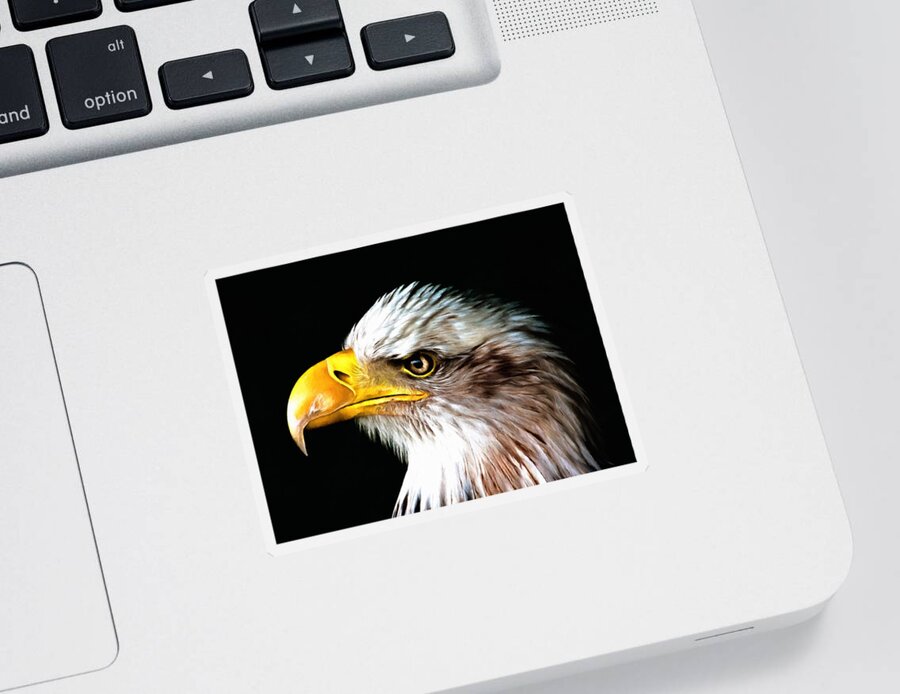 Bald Eagle Portrait Sticker featuring the photograph Bald Eagle Portrait by Georgiana Romanovna