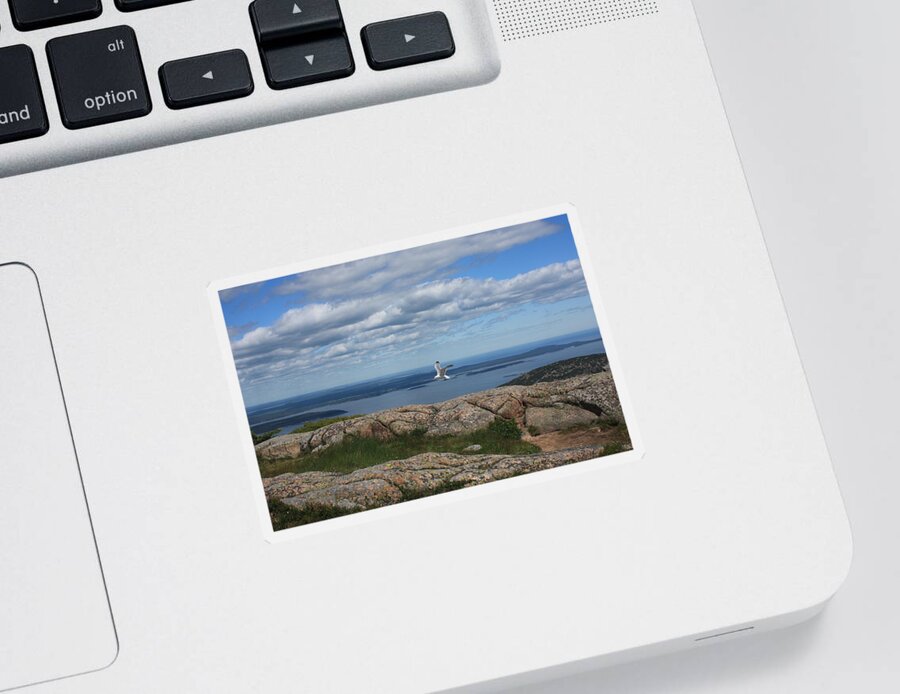 Seagull Sticker featuring the photograph Bar Harbor view from Cadillac by Barbara Smith-Baker