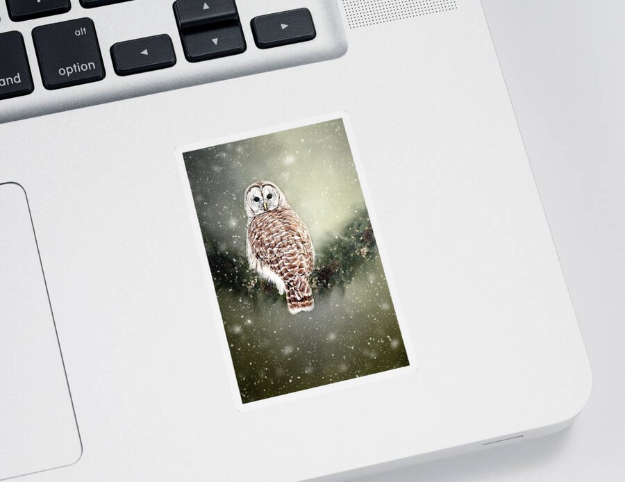 Barred Owl Print Sticker featuring the photograph Barred Owl in the Snow by Gwen Gibson