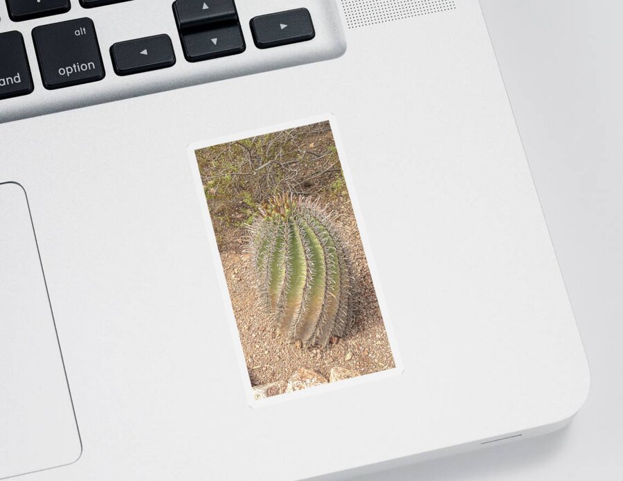 Cactus Sticker featuring the digital art Barrel cactus by Darrell Foster
