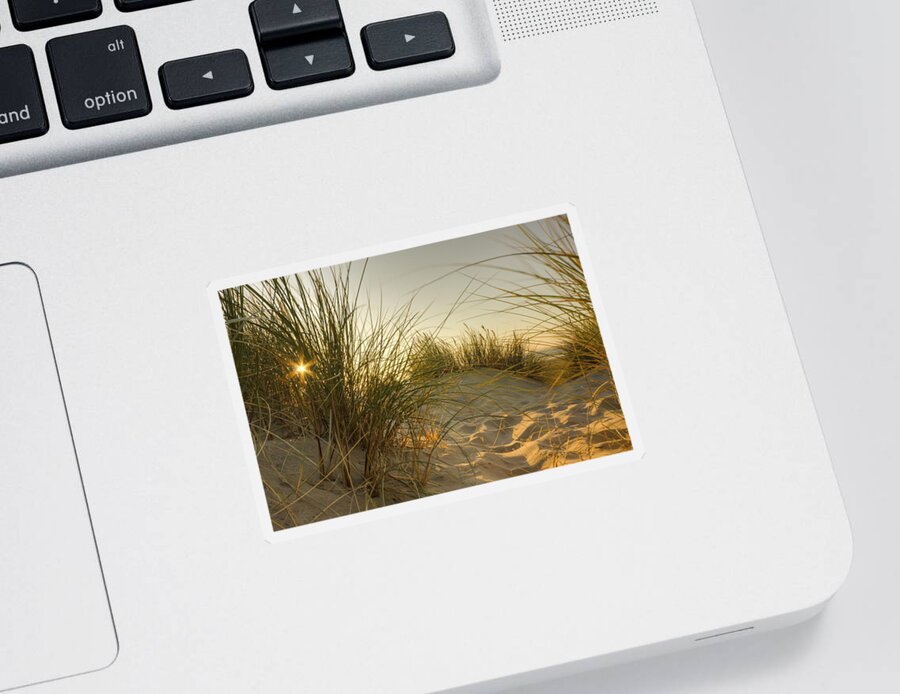 Landscape Sticker featuring the photograph Beach Bound 0001 by Kristina Rinell