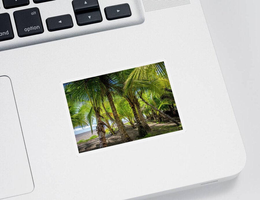 Spa Sticker featuring the photograph Beach LIfe by David Morefield