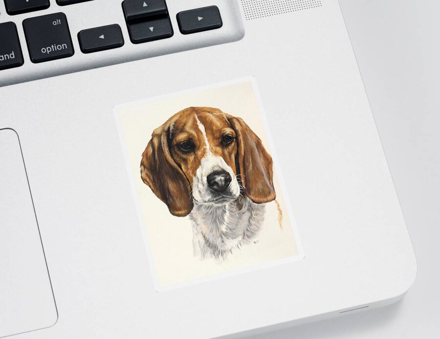 Dog Sticker featuring the painting Beagle in Watercolor by Barbara Keith