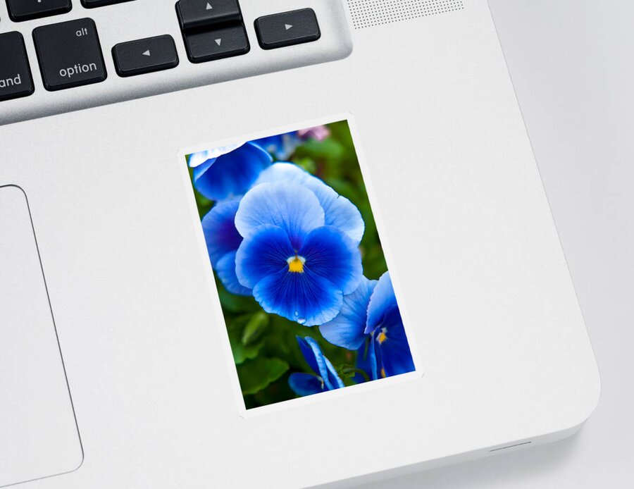 Spring Flowers Sticker featuring the photograph Beautiful Blues by Az Jackson