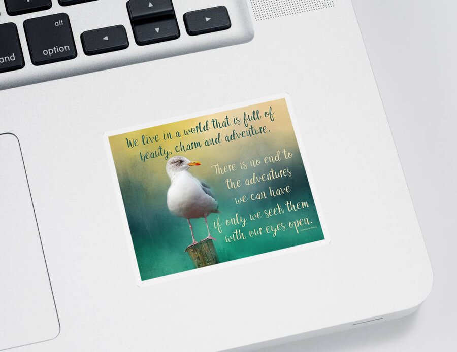 Seagull Sticker featuring the photograph Beauty, Charm and Adventure by Teresa Wilson