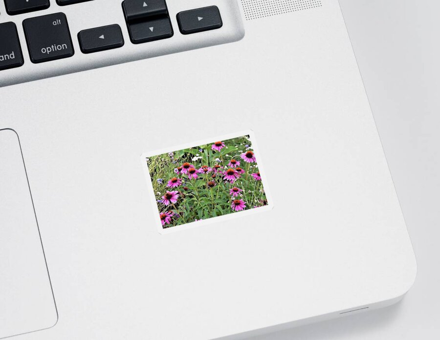 Flowers Sticker featuring the photograph Beauty in the Flower Garden by Kim Bemis