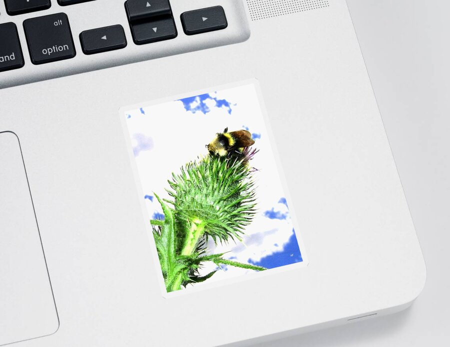 Bee Sticker featuring the photograph Bee-Line 4 by Will Borden