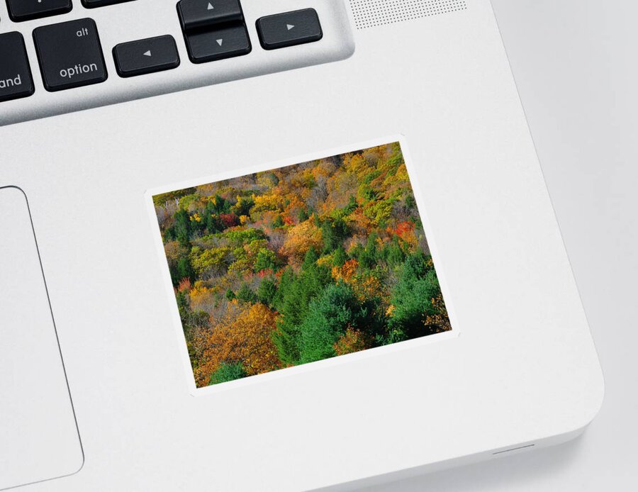 Landscape Sticker featuring the photograph Berkshires Fall Foliage by Juergen Roth
