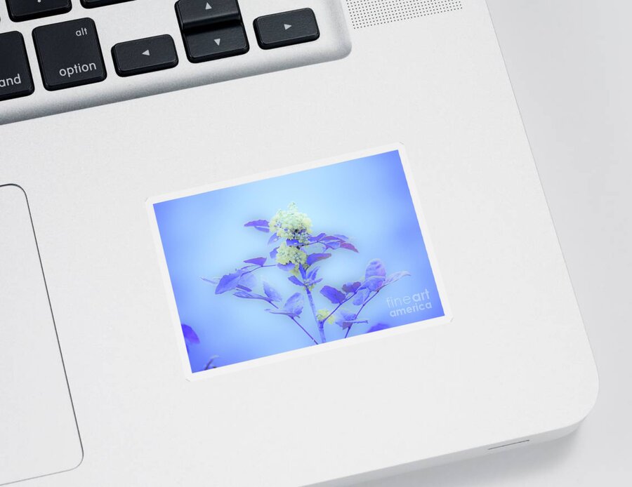 Floral Sticker featuring the photograph Berries on blue by Merle Grenz