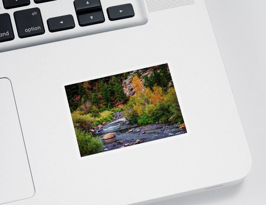 Jon Burch Sticker featuring the photograph Beside a Mountain Stream by Jon Burch Photography
