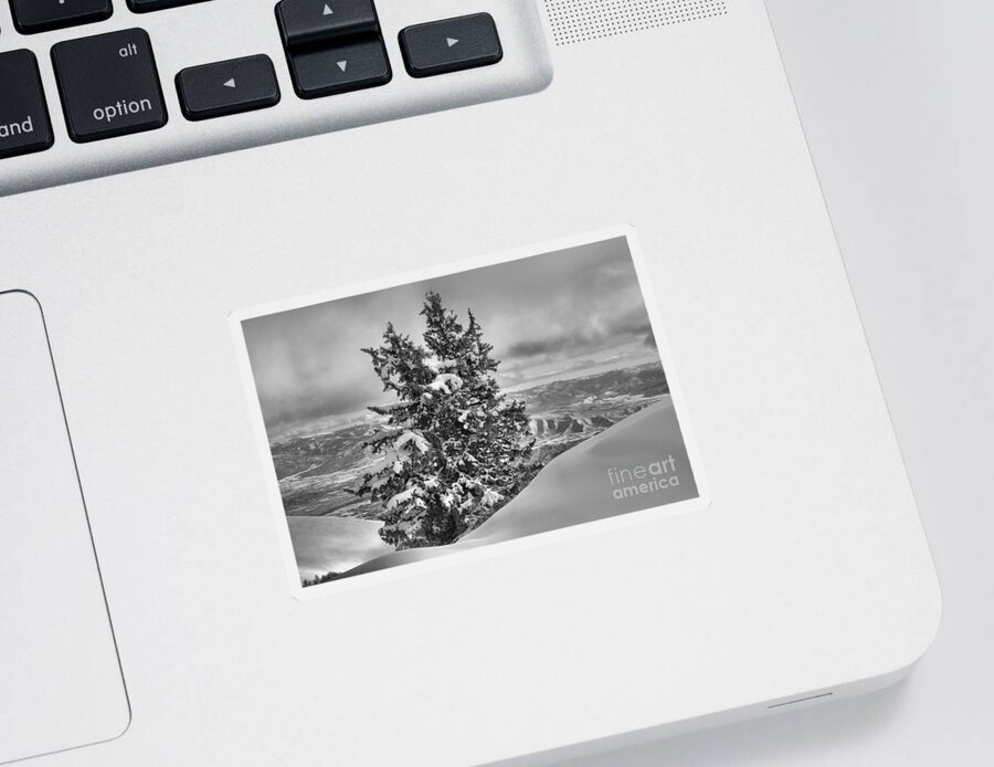 Brighton Sticker featuring the photograph Between Mountains And SNow Drift Black And White by Adam Jewell
