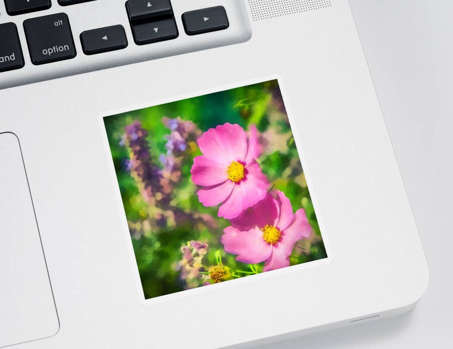 Cosmos Sticker featuring the photograph Bright Pink Cosmos by Eleanor Abramson