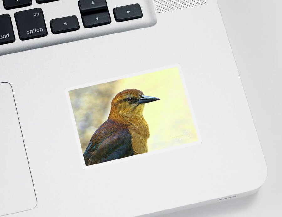 Bird Sticker featuring the photograph Bird Beauty by Deborah Benoit