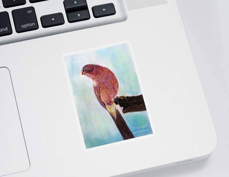Bird Sticker featuring the painting Bird by Jasna Dragun
