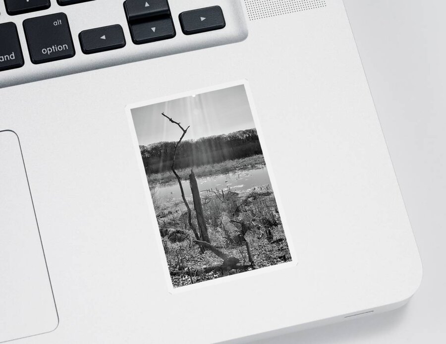 Black & White Sticker featuring the photograph Black and White Bog by Jim Shackett