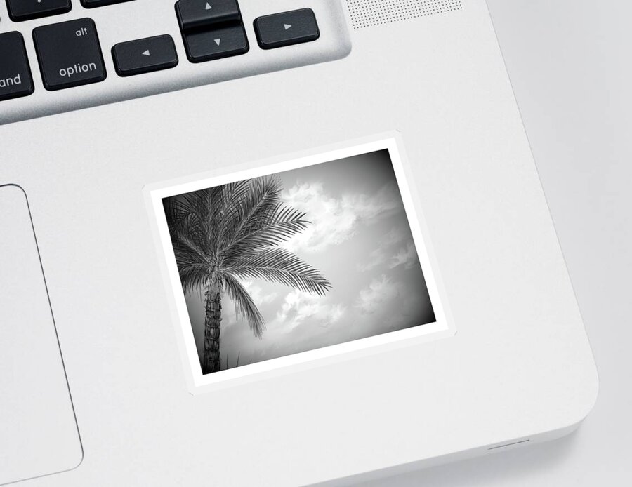 Cloud Sticker featuring the digital art Black and white palm by Darren Cannell