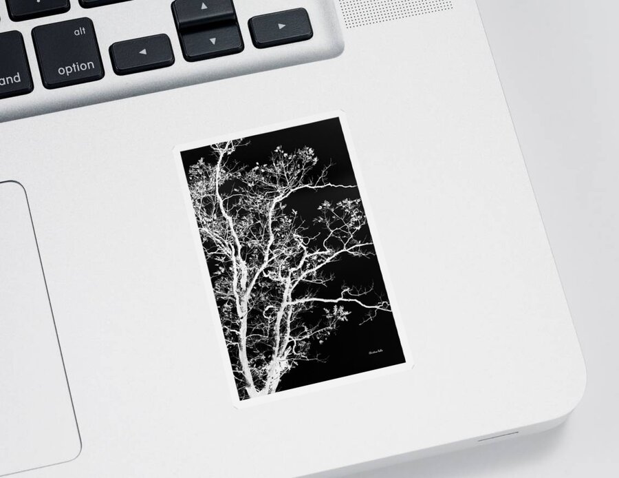 Black And White Sticker featuring the photograph Black and White Tree Art I by Christina Rollo