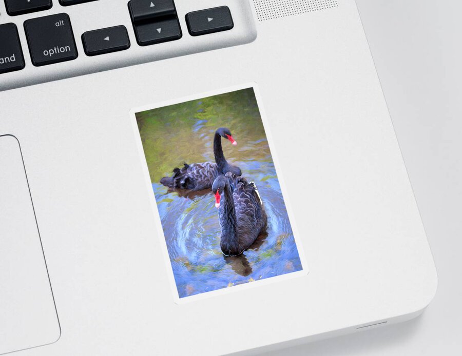 Swan Sticker featuring the photograph Black Swans by Susan Rissi Tregoning