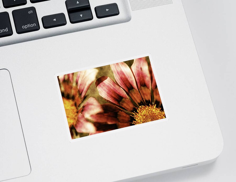 Blanket Flowers Sticker featuring the photograph Blanket Flowers by Bonnie Bruno