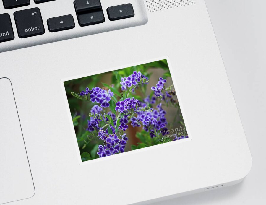 Blue Sticker featuring the photograph Blue Cottage Flowers by Carol Groenen