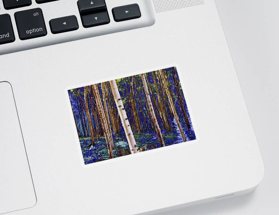 Aspens Sticker featuring the photograph Blue Gold Aspens by Lanita Williams