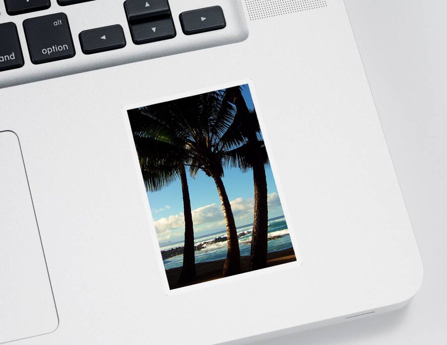 Palm Trees Sticker featuring the photograph Blue Palms by Karen Wiles