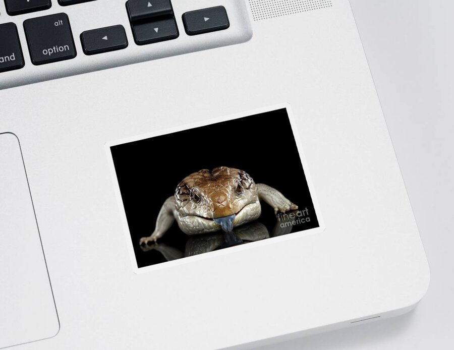 Lizard Sticker featuring the photograph Blue-tongued Skink by Sergey Taran
