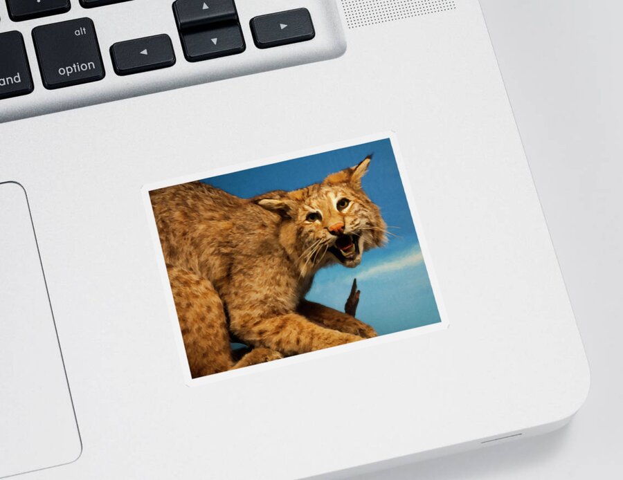 Bobcat Sticker featuring the digital art Bobcat on a branch by Flees Photos