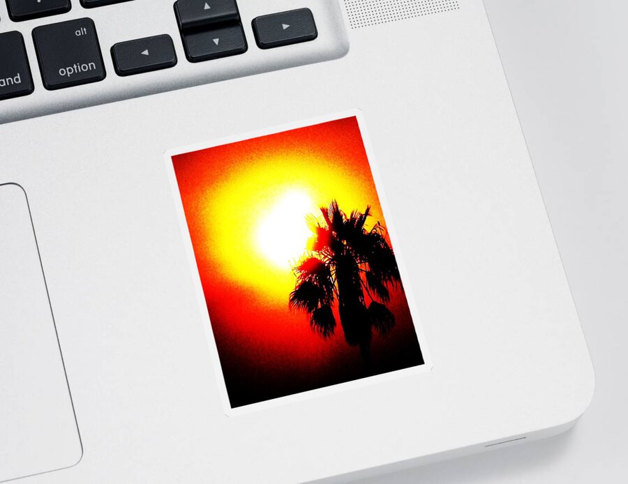 Sun Sticker featuring the photograph Bold by Daniele Smith