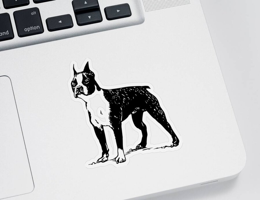 Boston Terrier Sticker featuring the mixed media Boston Terrier by Movie Poster Prints