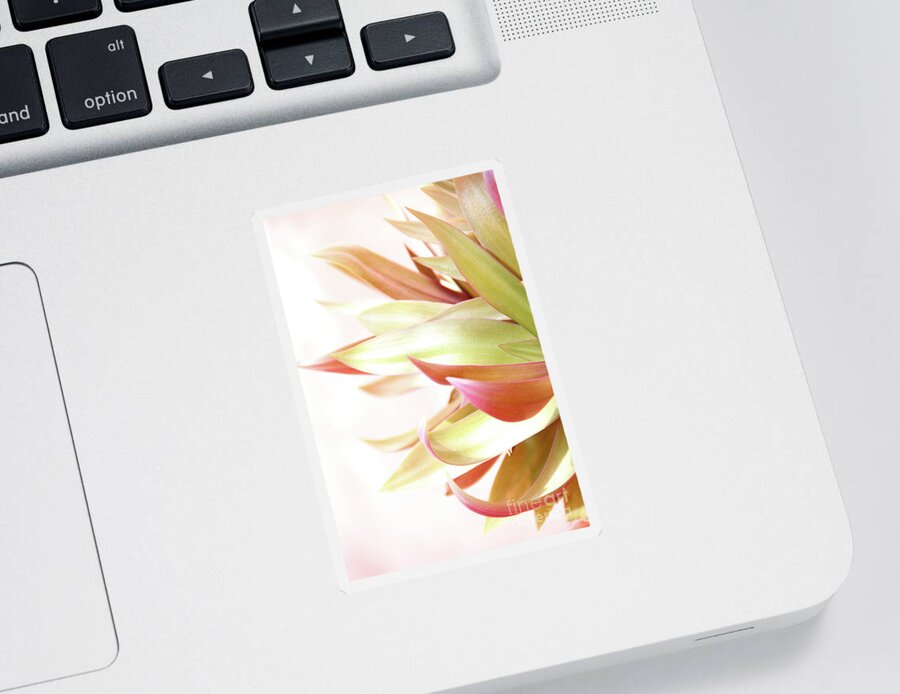 Plant Sticker featuring the photograph Botanical Dance by Becqi Sherman