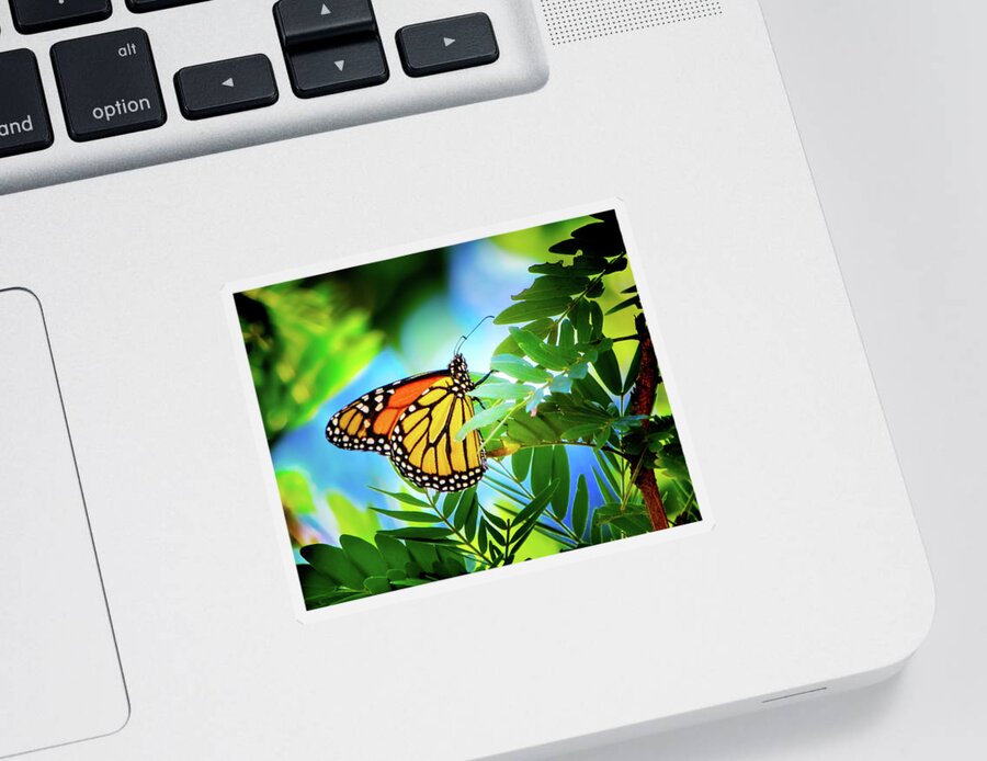 Monarch Sticker featuring the photograph Botanical Monarch by Mark Andrew Thomas