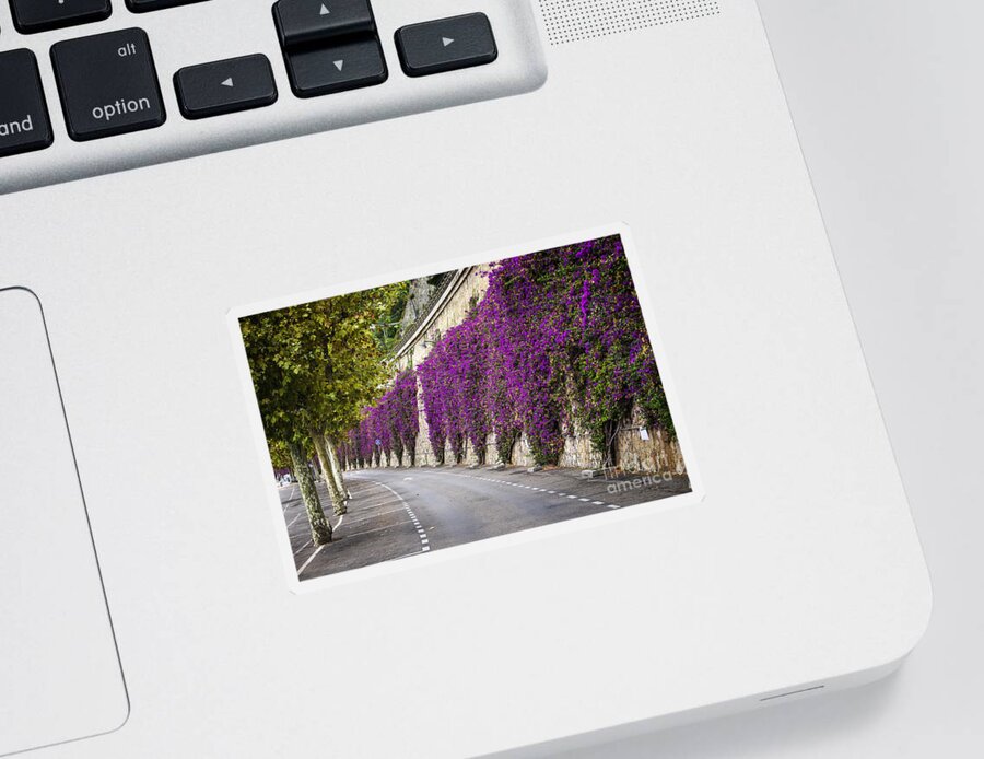 Road Sticker featuring the photograph Bougainvilleas in Villefranche-sur-Mer by Elena Elisseeva