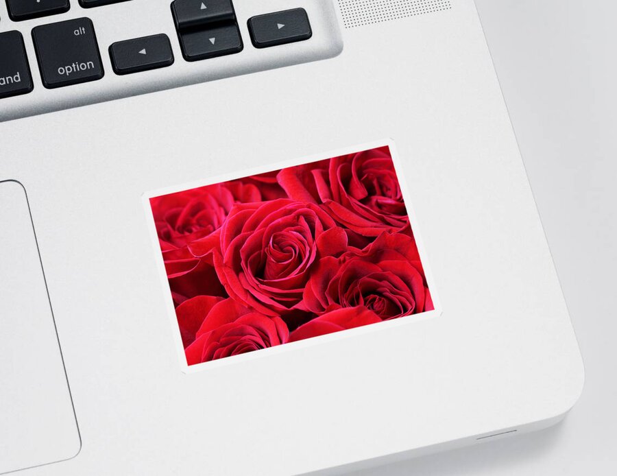 Roses Sticker featuring the photograph Bouquet of Red Roses by Peggy Collins
