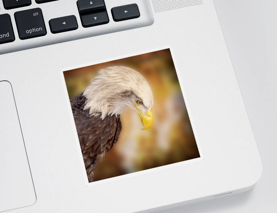 Bald Eagle Sticker featuring the photograph Bow Your Head and Prey by Bill and Linda Tiepelman