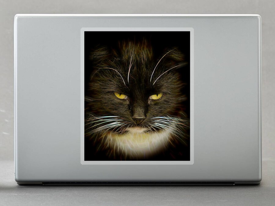 #house#world#cat#brilliant#concept#abstract#art#digital#hunter#colours#yard#fine#light#portrait#fine# Sticker featuring the photograph Brilliant Cat... by Aleksandrs Drozdovs