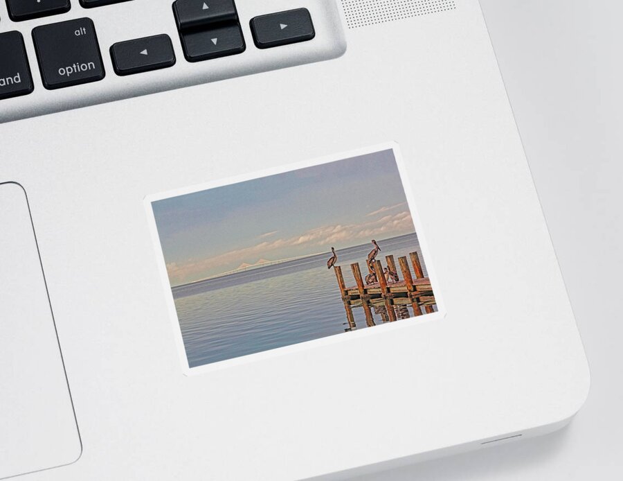 Sunshine Skyway Bridge Sticker featuring the photograph Brown Pelican Five by HH Photography of Florida