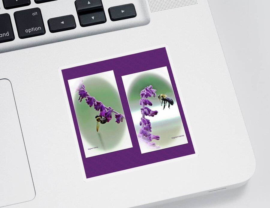 Bumblebees Sticker featuring the photograph Bumbling About by DigiArt Diaries by Vicky B Fuller
