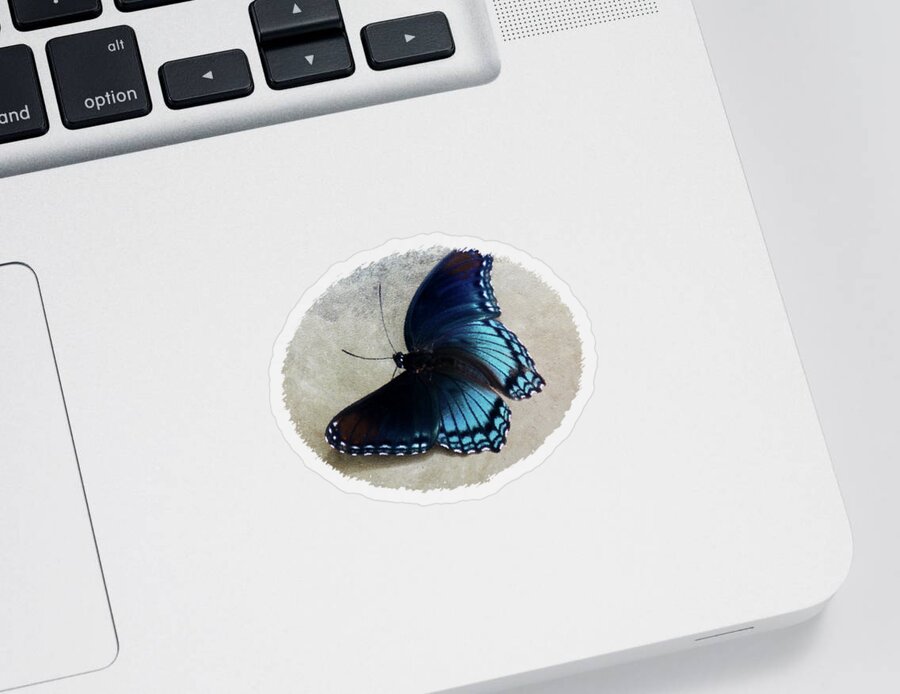 Butterfly Blue On Groovy Sticker featuring the photograph Butterfly Blue On Groovy by Anita Faye