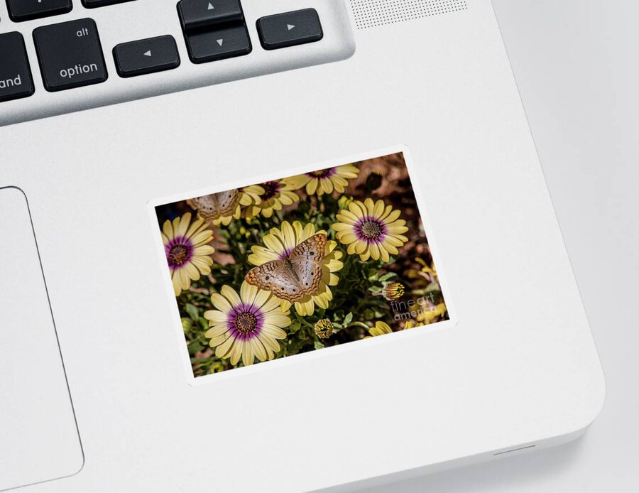 Tl Wilson Photography Sticker featuring the photograph Butterfly on Blossoms by Teresa Wilson