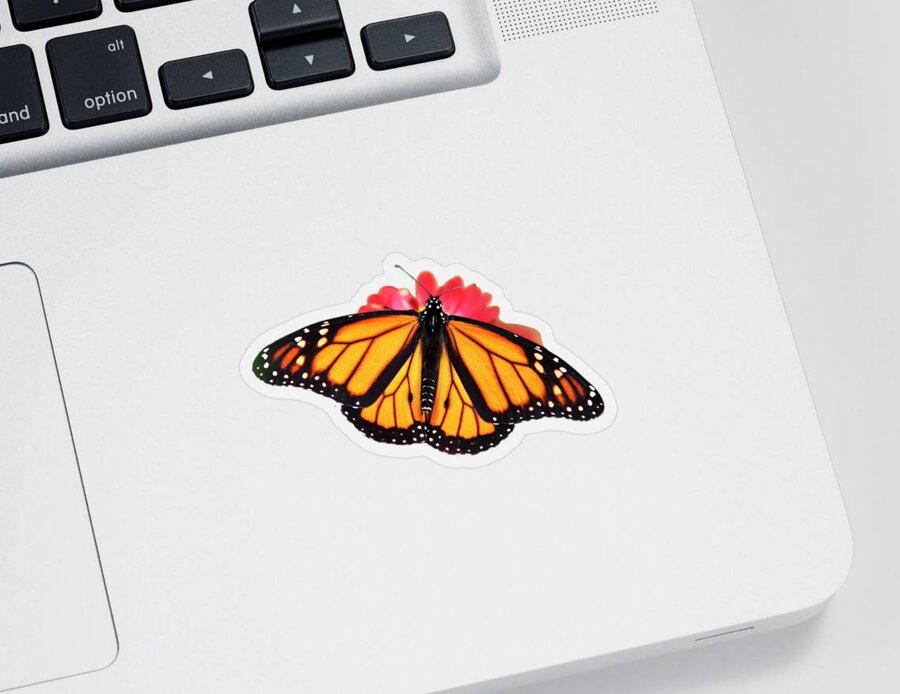 Monarch Butterfly Sticker featuring the mixed media Butterfly Pattern by Christina Rollo
