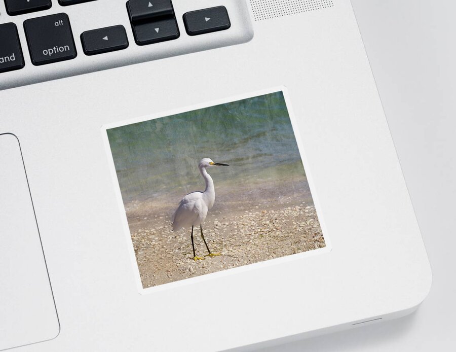 Egret Sticker featuring the photograph By The Sea by Kim Hojnacki