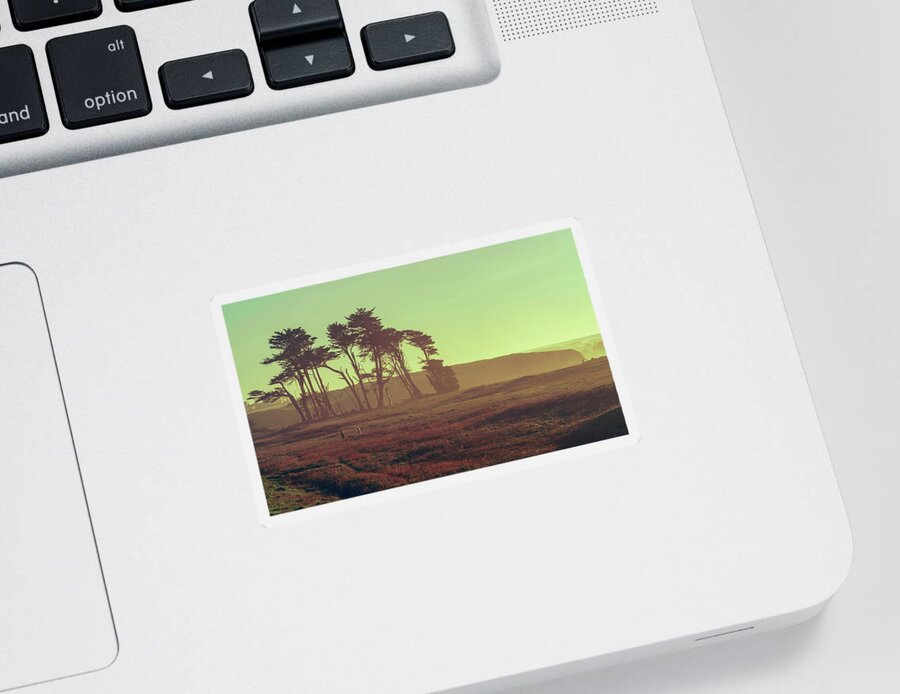 Mendocino Sticker featuring the photograph California Glow by Nisah Cheatham
